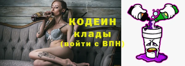 ГАЛЛЮЦИНОГЕННЫЕ ГРИБЫ Козловка