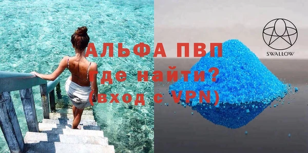 сатива Кинешма
