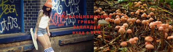 героин Корсаков