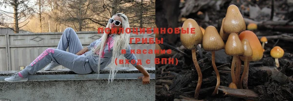 круглые Козельск
