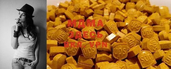ГАЛЛЮЦИНОГЕННЫЕ ГРИБЫ Козловка