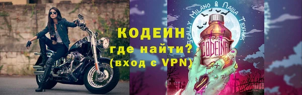 ГАЛЛЮЦИНОГЕННЫЕ ГРИБЫ Козловка