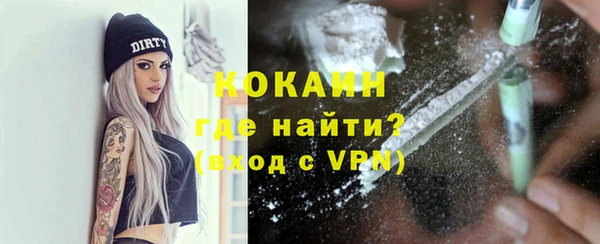 ГАЛЛЮЦИНОГЕННЫЕ ГРИБЫ Козловка