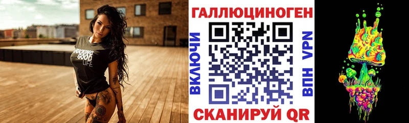 продажа наркотиков  blacksprut онион  Псилоцибиновые грибы Magic Shrooms  Новокубанск 