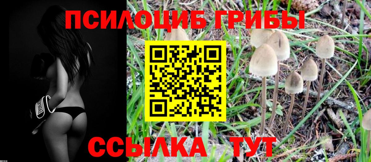 Псилоцибиновые грибы Magic Shrooms  Вход с VPN  где купить наркотик  Новокубанск 